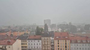 IMG_9365