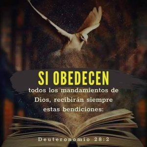images (14)