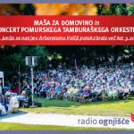 images (29)